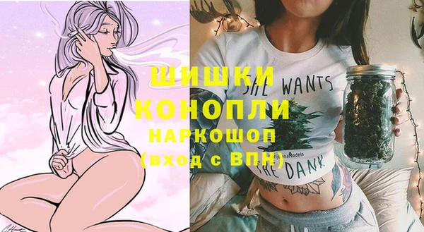 ГАЛЛЮЦИНОГЕННЫЕ ГРИБЫ Бородино