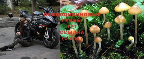 винт Волосово